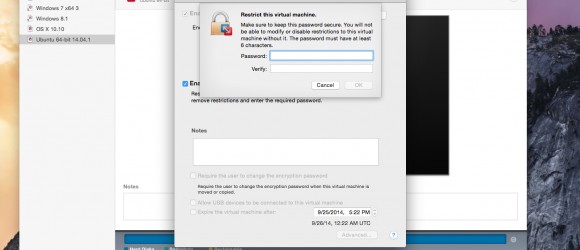 Restricted Virtual Machine